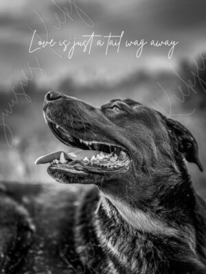 Love is just a tail wag away - With Text - Dog Photography - Suusies Kiekjes - Fine Art Magical Photography - Watermark
