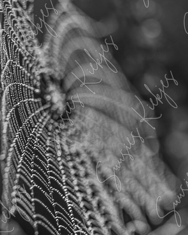 Beaded Lace - Suusies Kiekjes - Fine Art Magical Photography - Watermark
