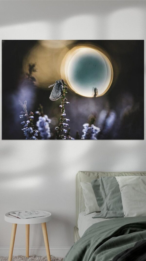 Dew-Kissed in Moonlight Lifestyle