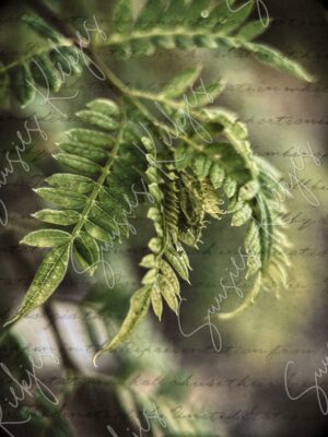 Whispers of Nature - Suusies Kiekjes - Fine Art Magical Photography - Watermark