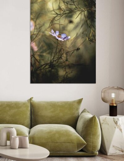 Whispers of Serenity Lifestyle