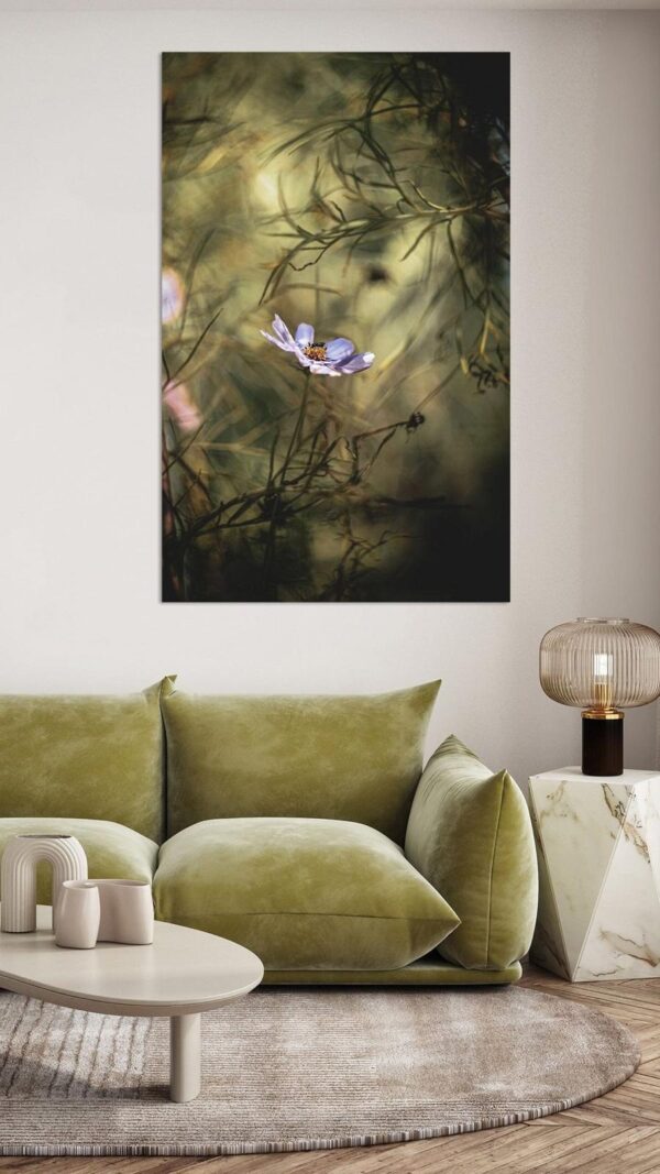 Whispers of Serenity Lifestyle