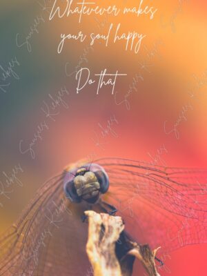 Wings of Wonder - Do That - Suusies Kiekjes - Fine Art Magical Photography - Watermark