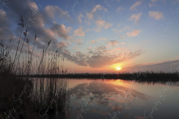 Reflections of Tranquillity - Suusies Kiekjes - Fine Art Landscape Photography - Suusies Kiekjes - Fine Art Magical Photography - Watermark